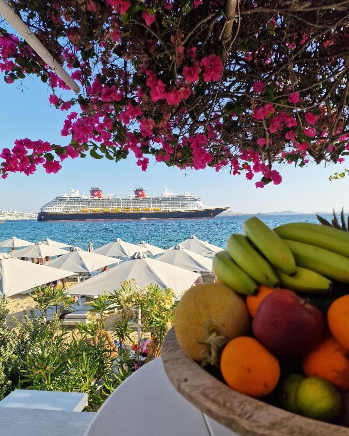 Apartament Sikate Hospitality Mykonos Town Zewnętrze zdjęcie